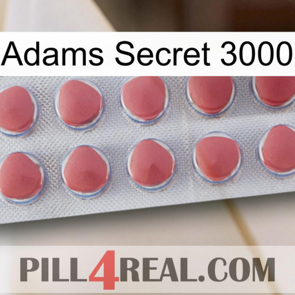 Adams Secret 3000 18.jpg